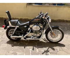 Harley Davidson 883 Perfetta