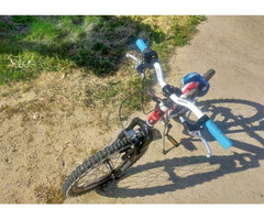 Bicicletta 20 Lombardo - 3