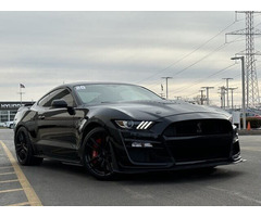 ford mustang 2.3 ecoboost SHELBY